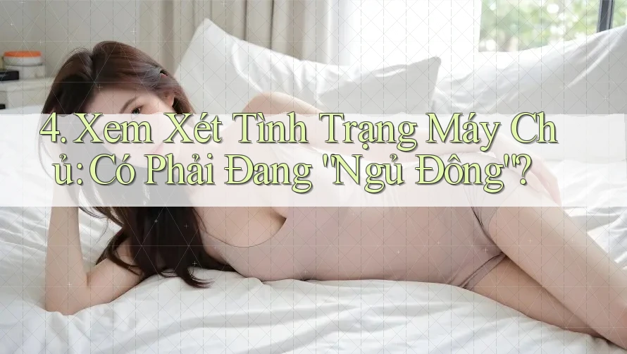 4. Xem Xét Tình Trạng Máy Chủ: Có Phải Đang “Ngủ Đông”? 4. Xem Xét Tình Trạng Máy Chủ: Có Phải Đang “Ngủ Đông”?