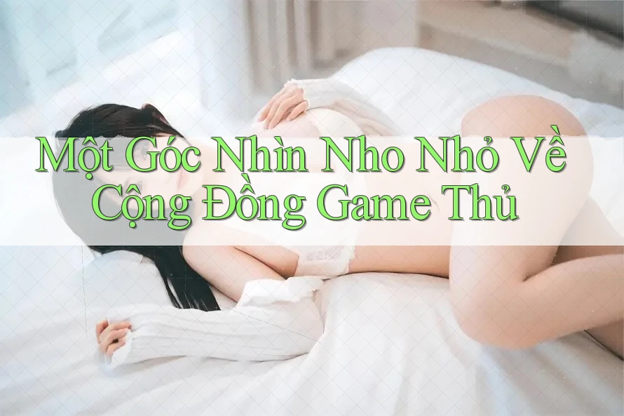 Một Góc Nhìn Nho Nhỏ Về Cộng Đồng Game Thủ