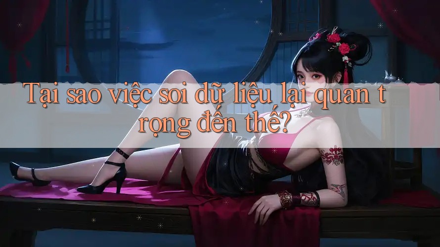 Tại sao việc soi dữ liệu lại quan trọng đến thế? Tại sao việc soi dữ liệu lại quan trọng đến thế?